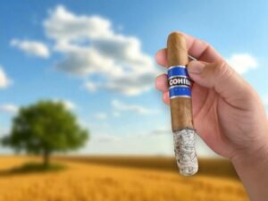 บุหรี่ COHIBA BLUE 5 1/2 X 50