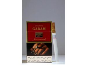 บุหรี่ Gudang Garam International (12มวน)