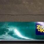 บุหรี่ Zouk Menthol (ซองแข็ง)