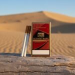 Gudang Baru International 20 (กูแดง บารู อินเตอร์เนชั่นแนล) บุหรี่หวานสายร้อนพรีเมียม | Gudang Baru International 20