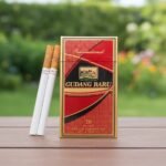 Gudang Baru International 20 บุหรี่นอก Kretek คุณภาพพรีเมียม | Gudang Baru International 20 Kretek