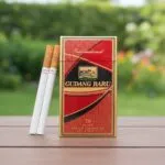 Gudang Baru International 20 บุหรี่นอก Kretek คุณภาพพรีเมียม | Gudang Baru International 20 Kretek