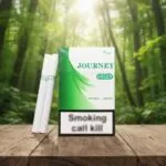 Journey Green (เจอร์นีย์ กรีน) บุหรี่นอกรสเย็นเมนทอล คุณภาพพรีเมียม | Journey Green