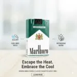 Marlboro Menthol (ซองอ่อน) | Marlboro Menthol