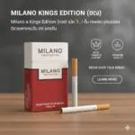Milano Kings Edition (แดง) | Milano Kings Edition